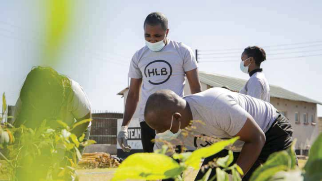 HLB Zambia staff planting trees during a community outreach day