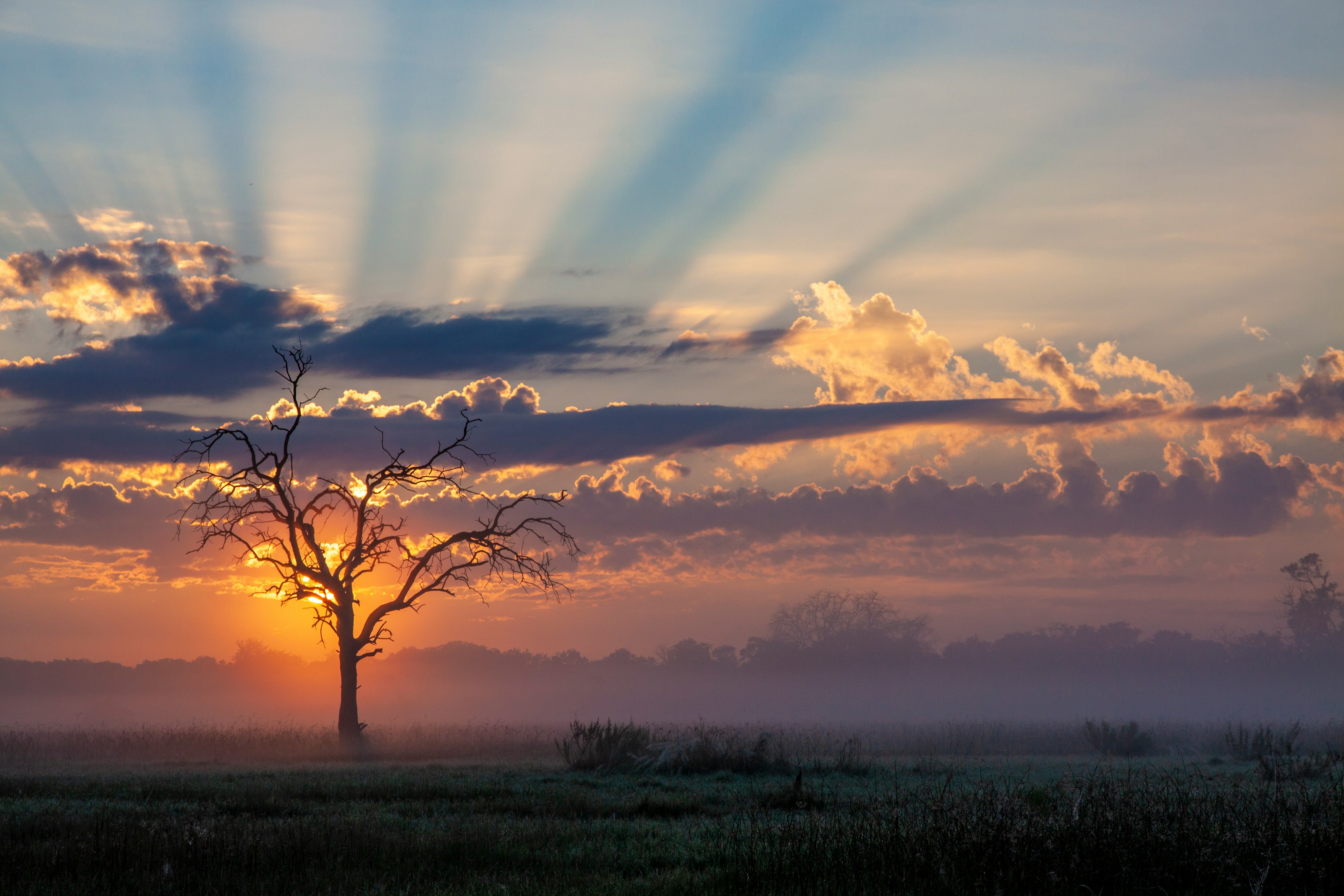 Open landscape in Botswana